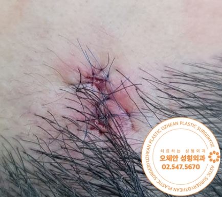 fc230a106740d980f6337a672fd563b5.jpg